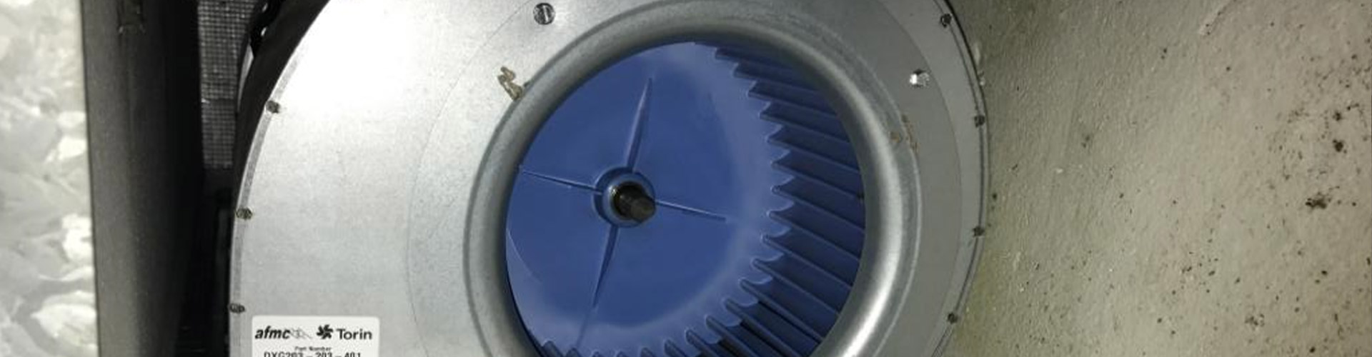 HVAC blower motor with blue squirrel-cage fan wheel mounted inside cabinet housing
