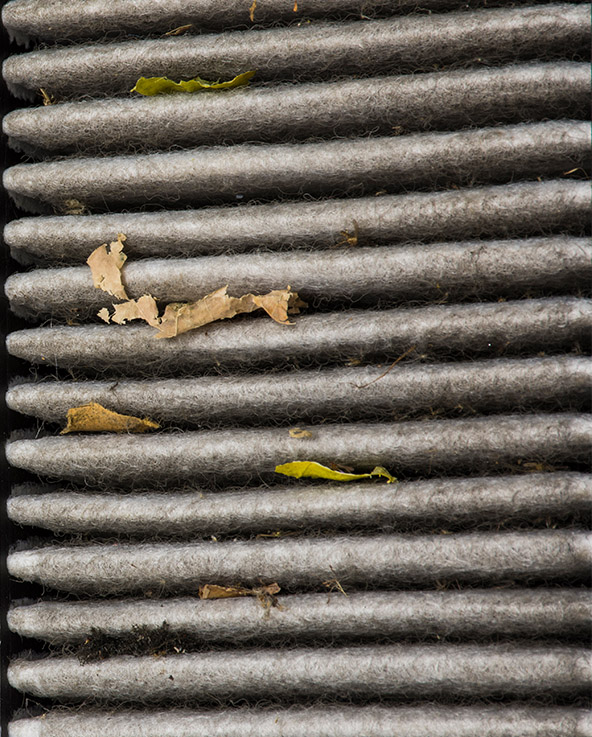 Vital Air Conditioning Services | RA Filter Replacement